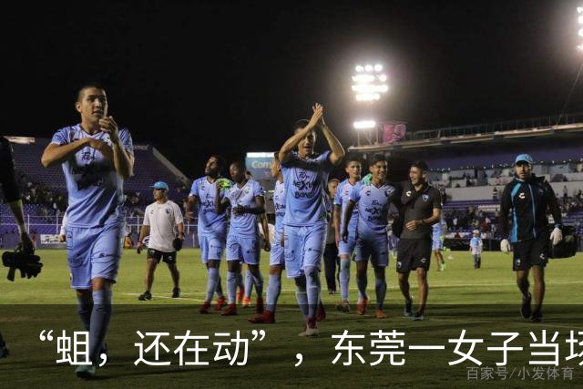 “蛆，还在动”，东莞一女子当场吐了！餐厅回应……